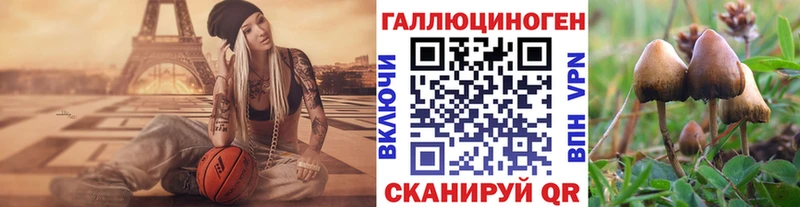 закладки  Енисейск  ОМГ ОМГ маркетплейс  Псилоцибиновые грибы GOLDEN TEACHER 