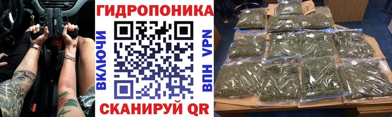 Канабис White Widow  OMG как зайти  Енисейск 